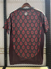 Load image into Gallery viewer, Mexico Home 24